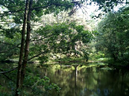 High Dam, South Lakeland