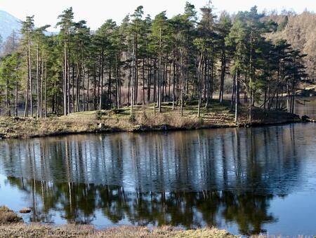 Tarn Hows on Christmas Day