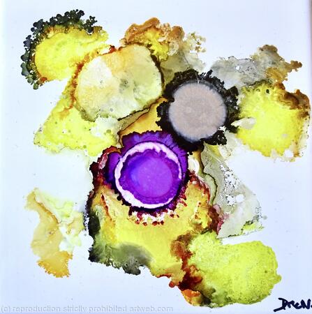 Celebrations of Colour #20