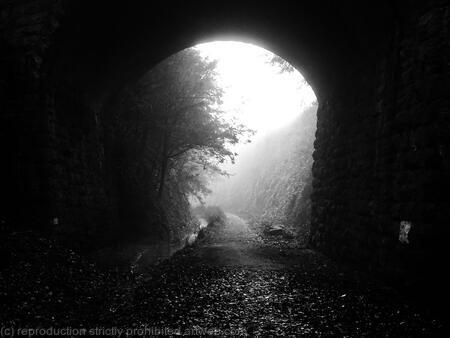 December along the railway cutting I