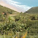 Cape Reinga, N.Island, New Zealand