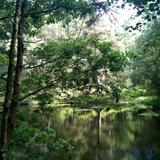 High Dam, South Lakeland
