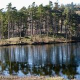 Tarn Hows on Christmas Day