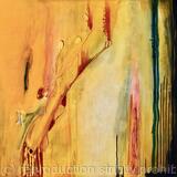 From Spring to Summer in Lockdown