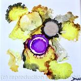 Celebrations of Colour #20