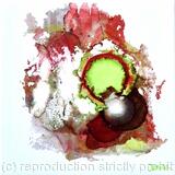 Celebrations of Colour #19