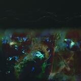 Something dark is happening …