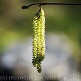 Spring is just around the corner