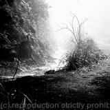 December along the railway cutting II