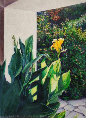 Canna Lily in a Light Corner