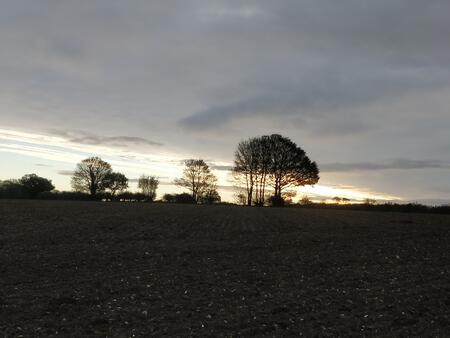 skyline Braydestone 27102020