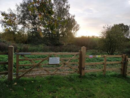 Martys Marsh 27102020