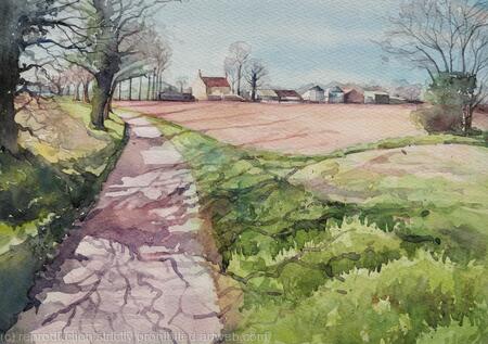 Along Cuckoo Lane, Braydestone