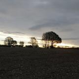 skyline Braydestone 27102020