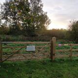 Martys Marsh 27102020