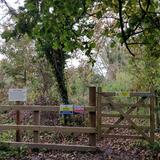 Marty's Marsh Church end