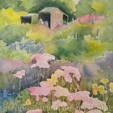 Summer shed with alchemila