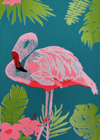 Flamingo