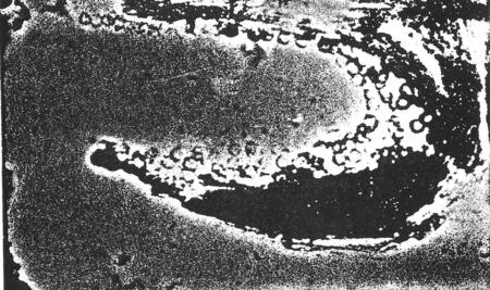 Land and sea study 1