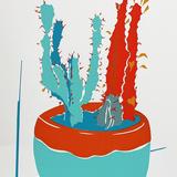 Red and Orange Cactus 