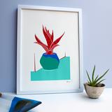 Red Potted Aloe Plant