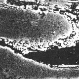 Land and sea study 1