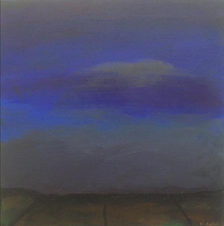 Cahermaccrusheen Fields, Late Evening