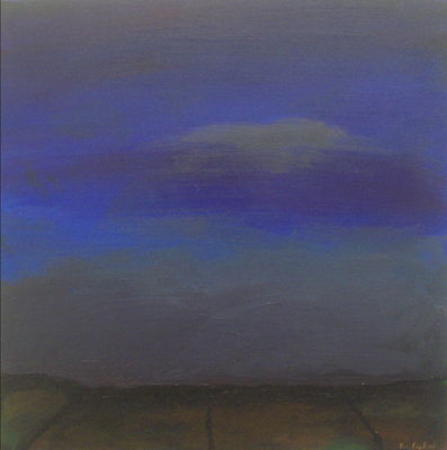 Cahermaccrusheen Fields, Late Evening