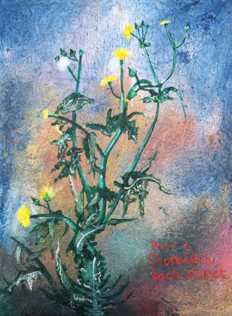 The Slow Path North - Edgelands