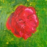 The Old Lady's Garden