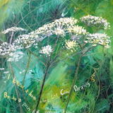 I Know A Path Where The Cow Parsley Grows