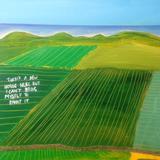 There’s A New House Here But I Can’t Bring Myself To Paint It