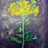 The Clare Music Wars