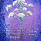 Insomnia 1970 (Love In The Time Of Asthma) 