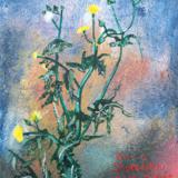 The Slow Path North - Edgelands