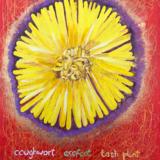 Trying, But Failing, To Properly See A Wildflower