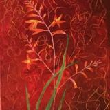 Trying, But Failing, To To Forget About International Politics While Out On A Walk