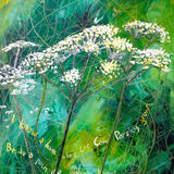 I Know A Path Where The Cow Parsley Grows
