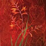 Trying But Failing To Forget Abotu International Politics While Out On A Walk