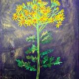 The Clare Music Wars