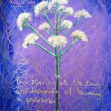 Insomnia 1970: Love In The Time Of Asthma