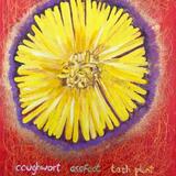 Trying But Failing To Properly See A Wildflower