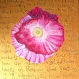 Urban Counry Diary No. 1