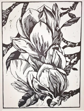 Magnolia