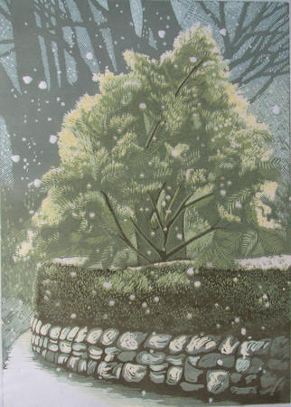 Mimosa in a Snow Shower