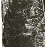 Anything Could Happen