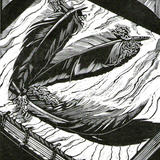 Heron Feathers Brought to Book