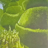 Topiary