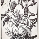 Magnolia