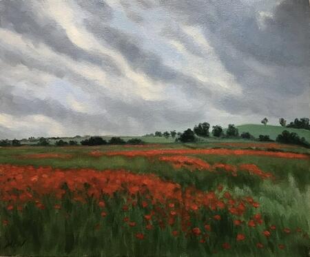 Evening Poppy field